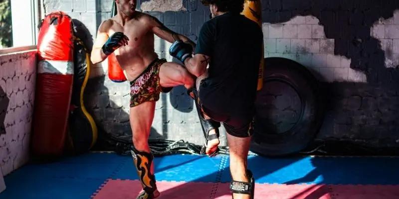 LION Championship - Giải Đấu Võ Thuật Danh Tiếng Thế Giới 2 Đôi nét về giải vô địch MMA sư tử