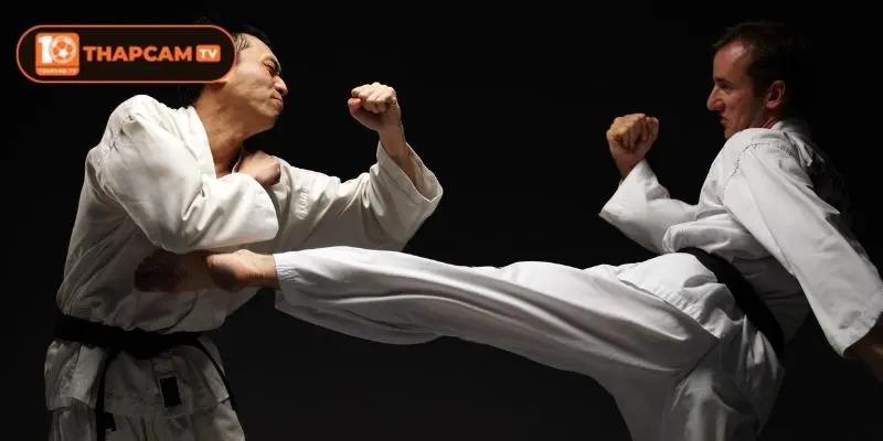 Lợi ích mà bộ môn thể thao võ thuật mang đến