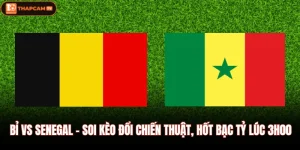 Bỉ Vs Senegal - Soi Kèo Đổi Chiến Thuật, Hốt Bạc Tỷ Lúc 3h00