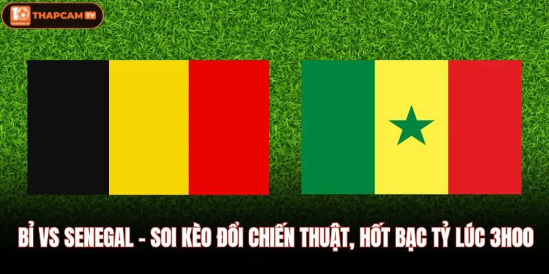 Bỉ Vs Senegal - Soi Kèo Đổi Chiến Thuật, Hốt Bạc Tỷ Lúc 3h00 1 Bỉ Vs Senegal - Soi Kèo Đổi Chiến Thuật, Hốt Bạc Tỷ Lúc 3h00