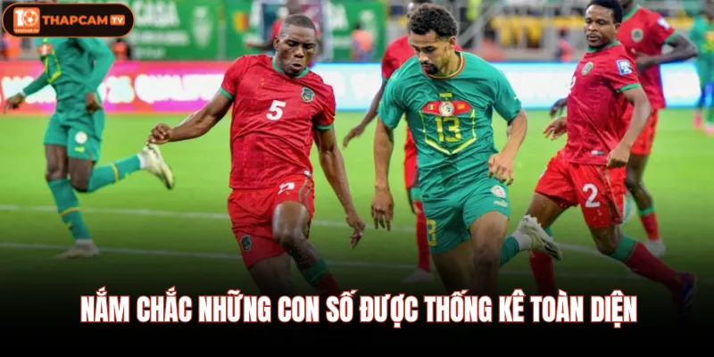 Bỉ Vs Senegal - Soi Kèo Đổi Chiến Thuật, Hốt Bạc Tỷ Lúc 3h00 3 Nắm chắc những con số được thống kê toàn diện