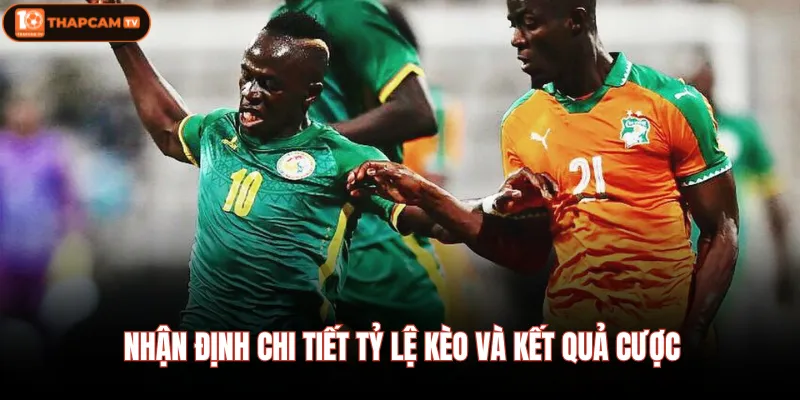 Anh Vs CHDC Congo - Nhận Định Trận Đấu Ngày 01/07 23:00 4 Nhận định chi tiết tỷ lệ kèo và kết quả cược