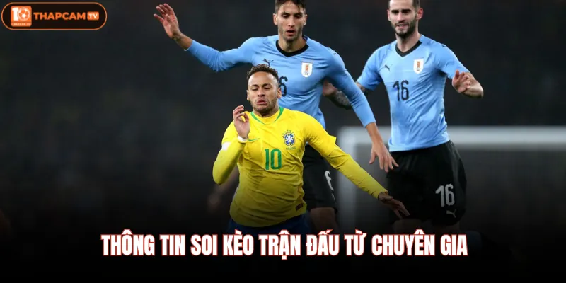 Thông tin soi kèo trận đấu từ chuyên gia